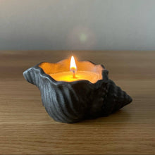 Load image into Gallery viewer, Shell Candle - coffee scented
